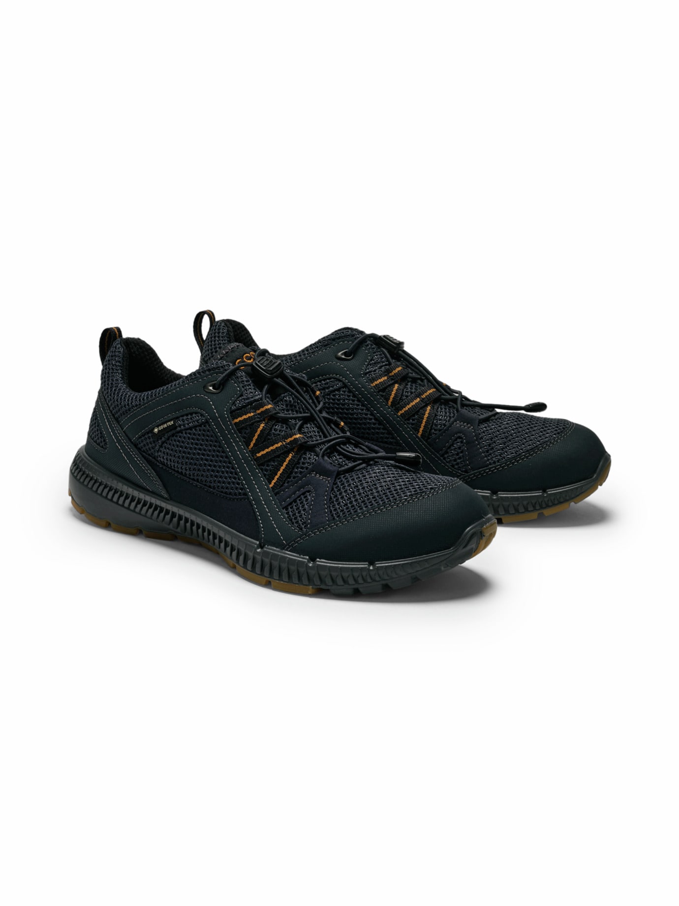 Ecco-Gore-Tex Terracruise Blau