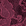 Aubergine