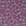 LeopardBordeaux