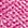 Fuchsia Fuchsia