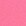 Fuchsia Fuchsia