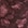 Beere/Rosé Beere/Rosé