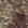 Beige-Leo