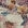 Beige/Bunt Beige/Bunt
