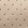 Beige Beige