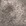 Taupe Taupe