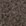 Taupe Taupe