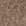 Taupe Taupe
