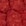 Rot Rot
