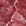 Rot Rot