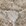 Taupe Taupe