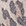 Animalprint Animalprint