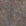 Taupe Taupe