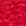 Rot Rot