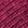 Fuchsia Fuchsia