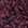 Aubergine Aubergine