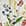 Blumenmotiv