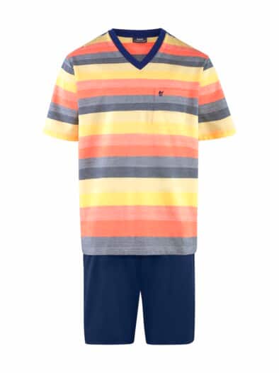 Herren-Shorty-Klimasoft Multicolor gest