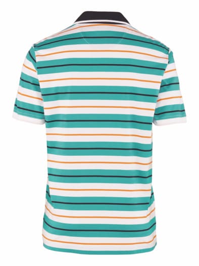 Kurzarm-Poloshirt Streifen Grün gestreift