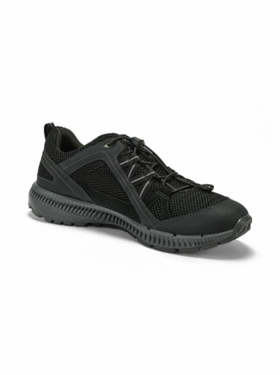 Ecco-Gore-Tex Terracruise Schwarz