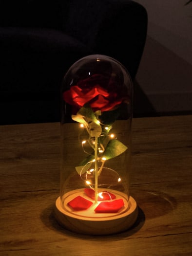 Ewige Rose im Glas LED Rot