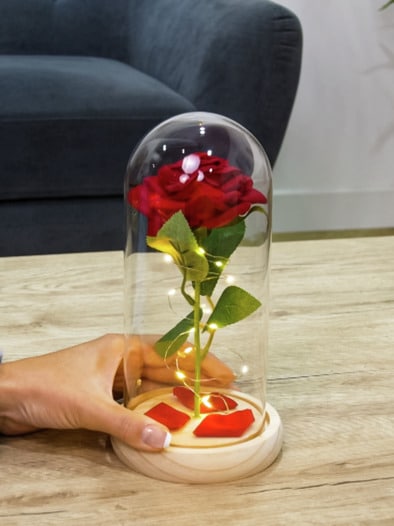 Ewige Rose im Glas LED Rot