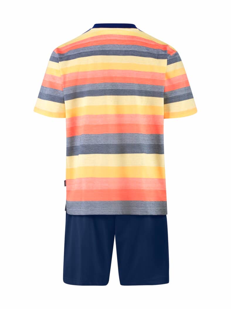 Herren-Shorty-Klimasoft Multicolor gest