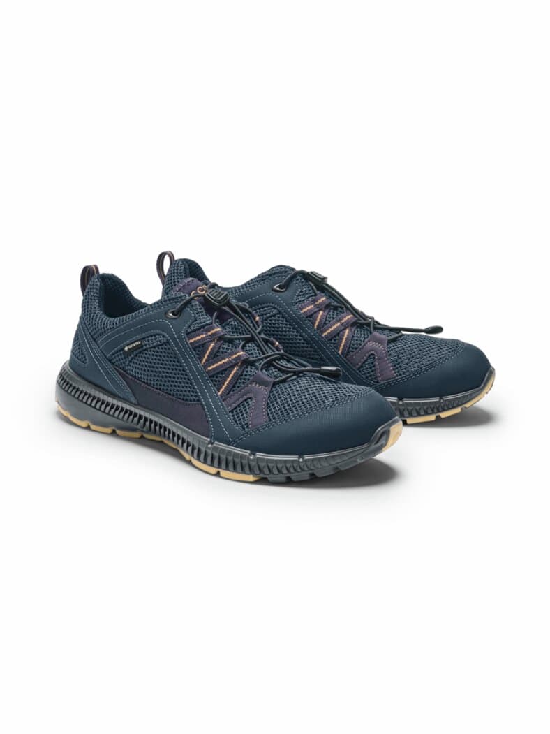 Ecco-Gore-Tex Terracruise Blau