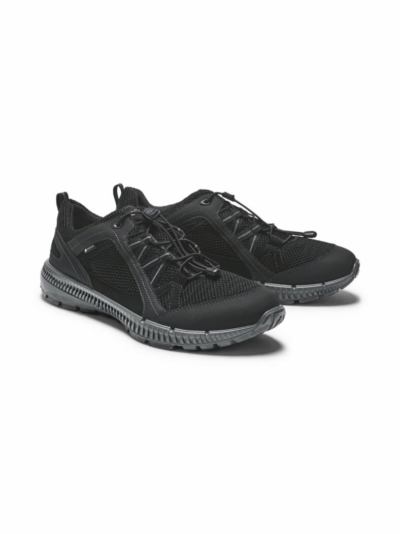 Ecco-Gore-Tex Terracruise Schwarz