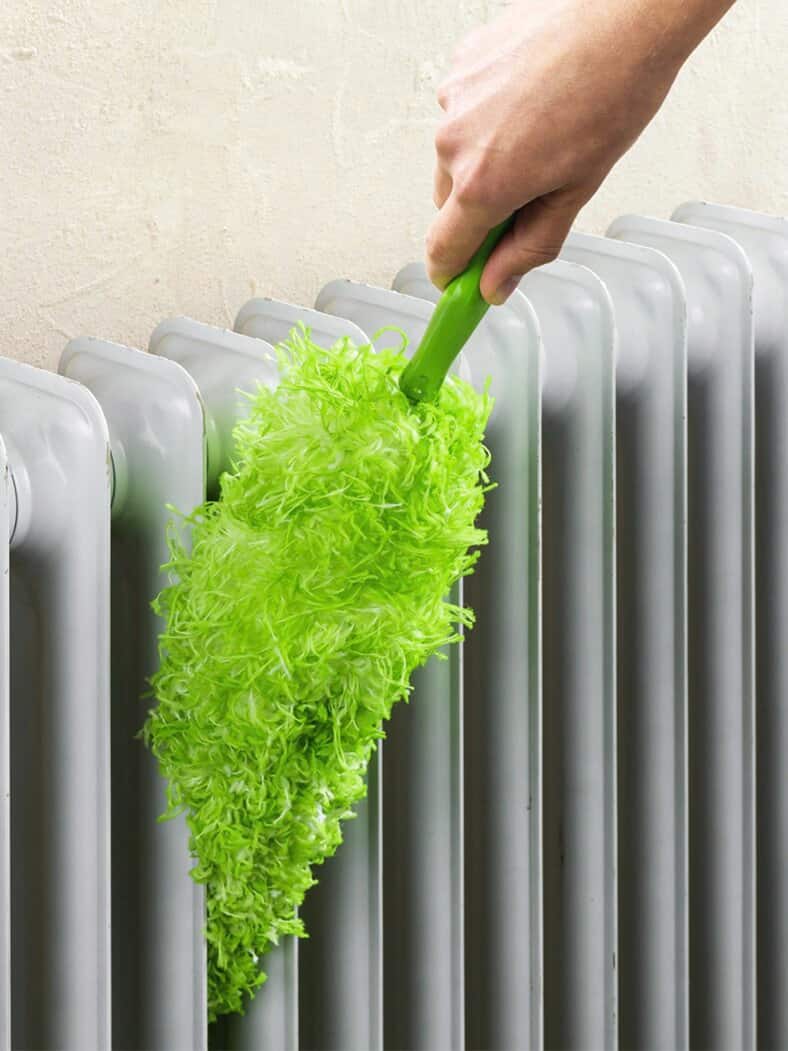 Teleskop-Staubwedel Grau-Grün