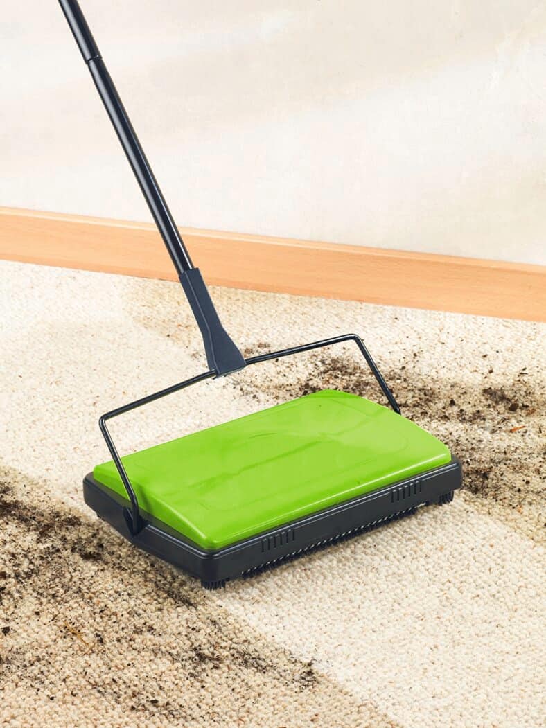 Teppichkehrer Schwarz-Grün