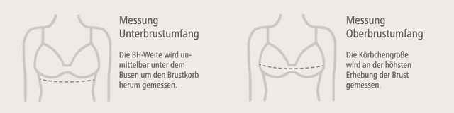 Bild Alternativtext ist leider nicht vorhanden